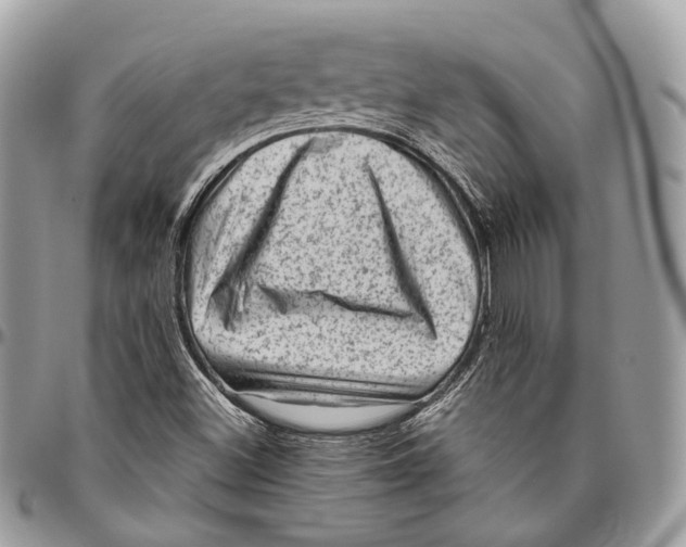 X0000096411500200802141529