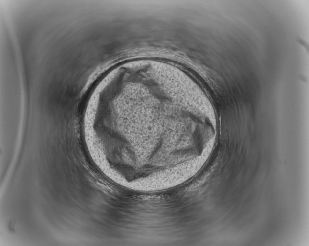 X0000096411501200802141529