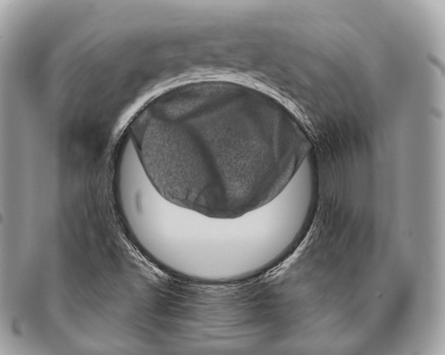 X0000096411502200802141529