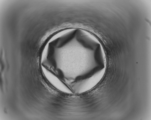 X0000096411503200802141529