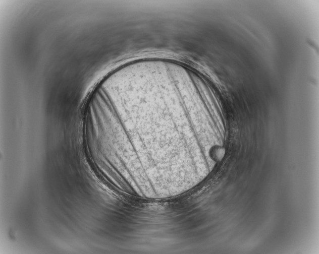 X0000096411504200802141529