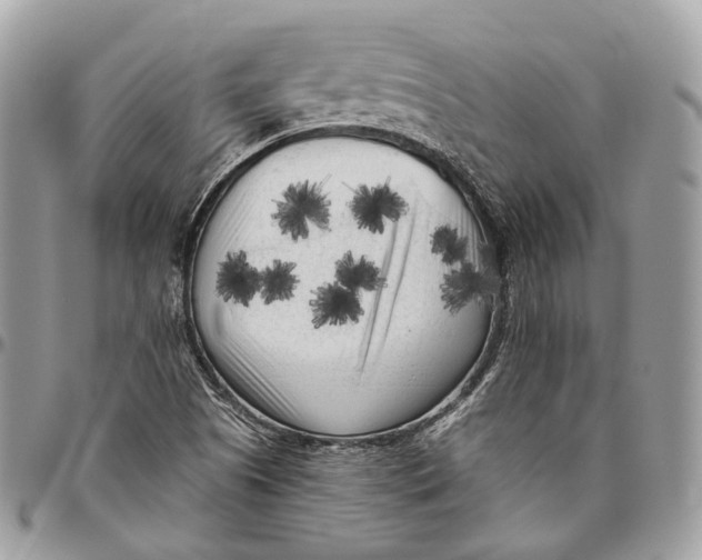 X0000096411505200802141529