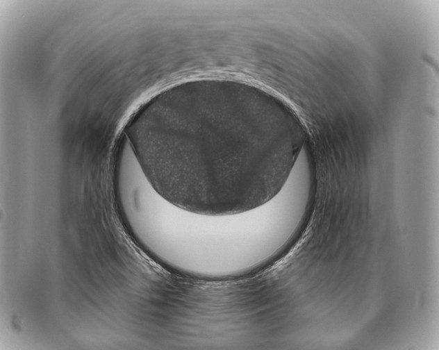 X0000096411506200802141529