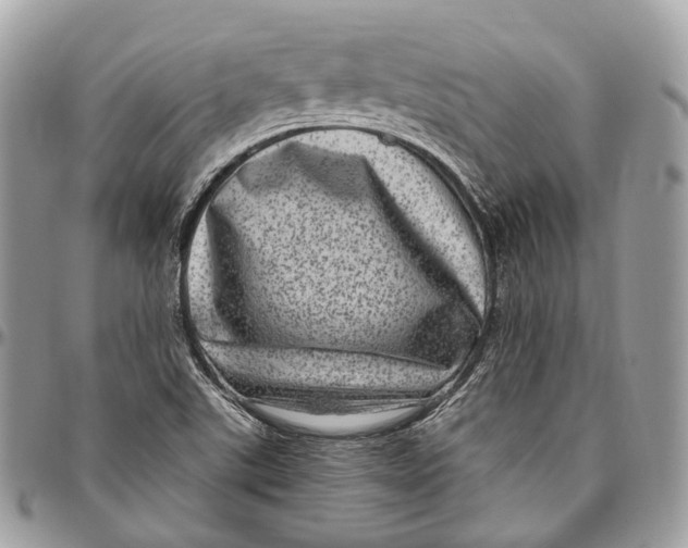 X0000096411507200802141529