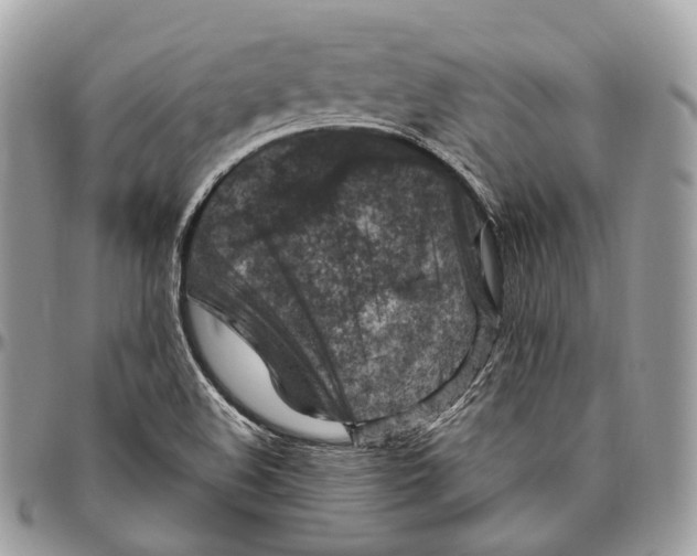 X0000096411508200802141529