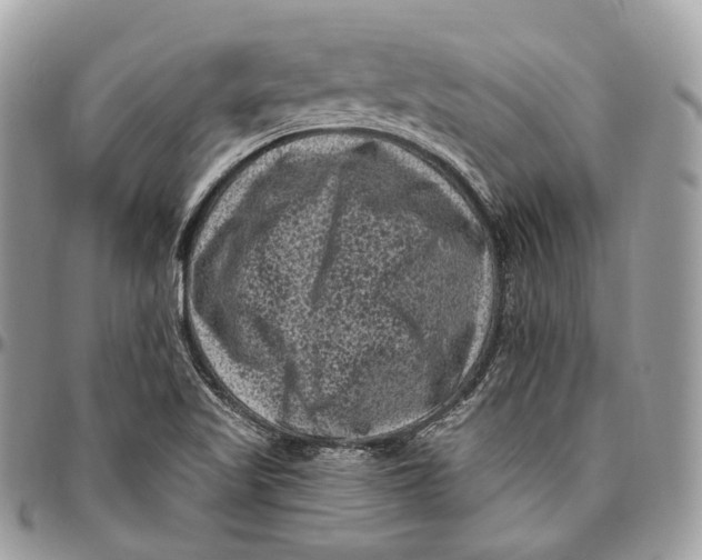 X0000096411509200802141529