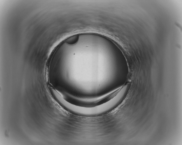 X0000096411510200802141529