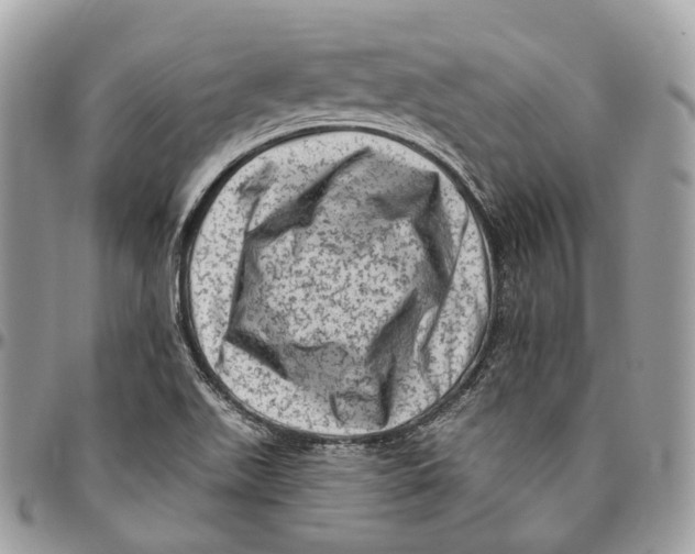 X0000096411511200802141529