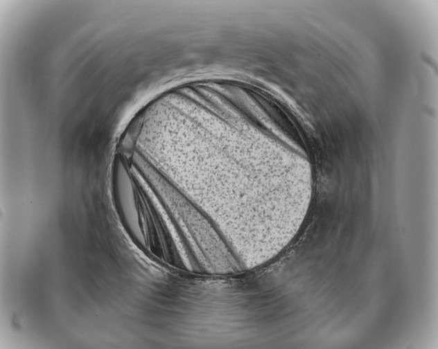 X0000096411512200802141529