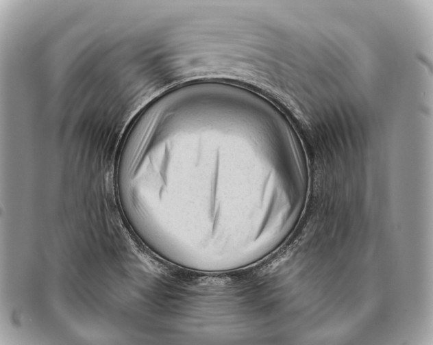 X0000096411513200802141529