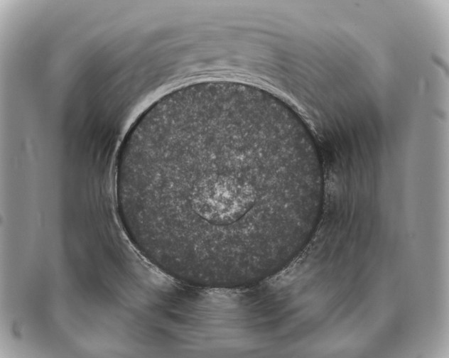 X0000096411514200802141529