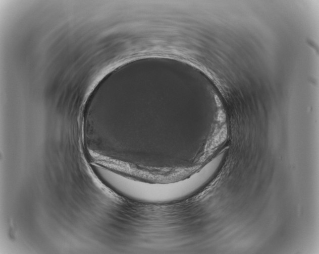 X0000096411515200802141529