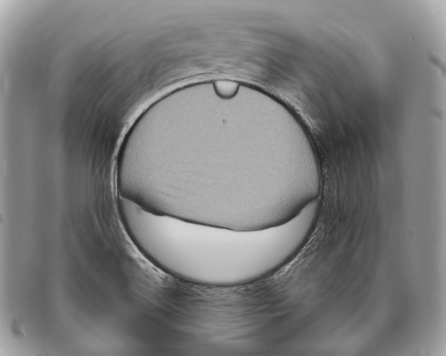 X0000096411516200802141529