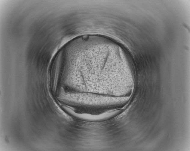 X0000096411517200802141529