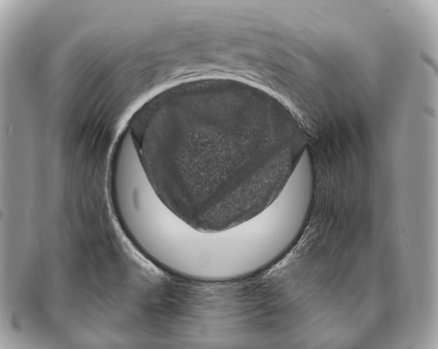 X0000096411518200802141529