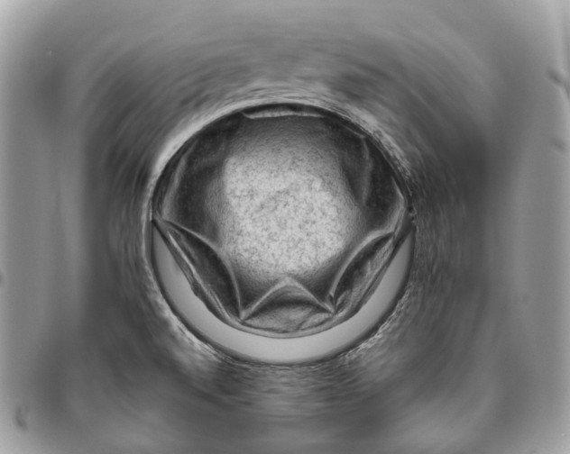 X0000096411520200802141529