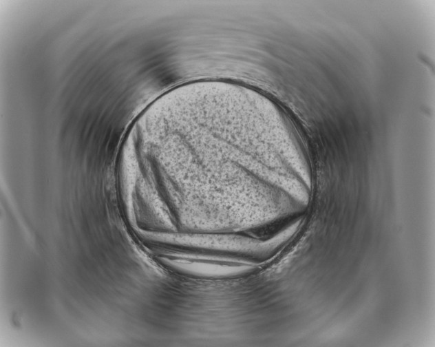 X0000096411521200802141529