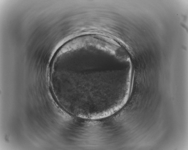 X0000096411522200802141529