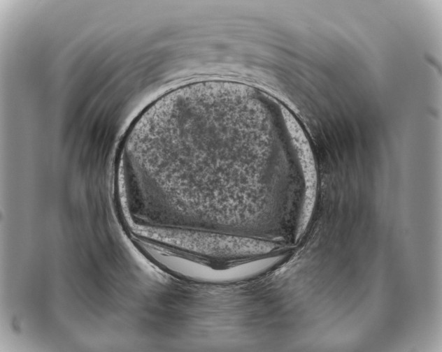 X0000096411523200802141529