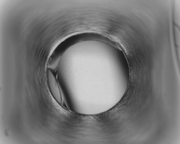 X0000096411524200802141529