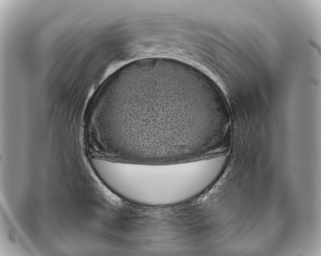 X0000096411525200802141529