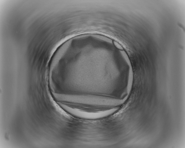 X0000096411526200802141529