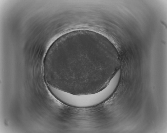 X0000096411527200802141529