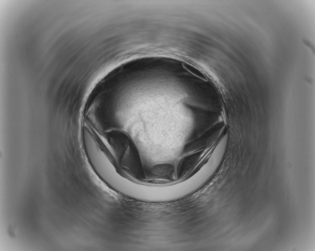 X0000096411528200802141529