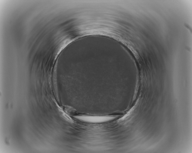 X0000096411529200802141529