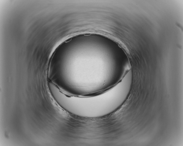 X0000096411530200802141529