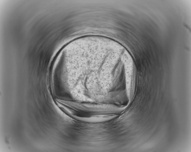 X0000096411531200802141529