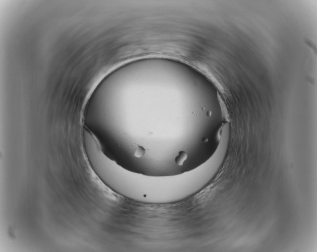 X0000096411532200802141529