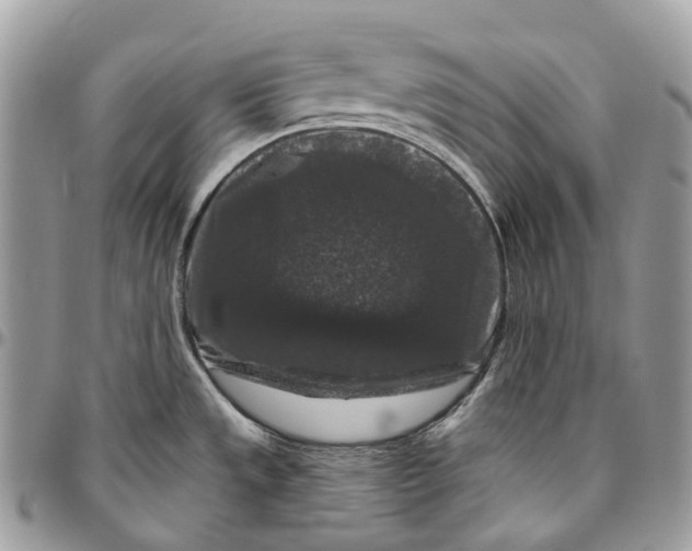 X0000096411533200802141529