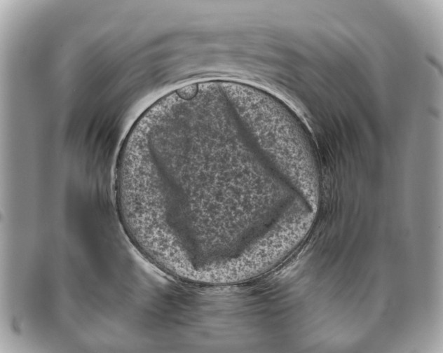 X0000096411535200802141529