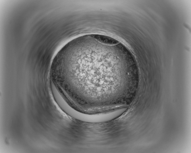 X0000096411536200802141530