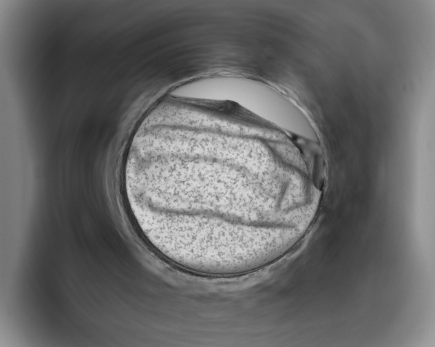 X0000096410001200802211235
