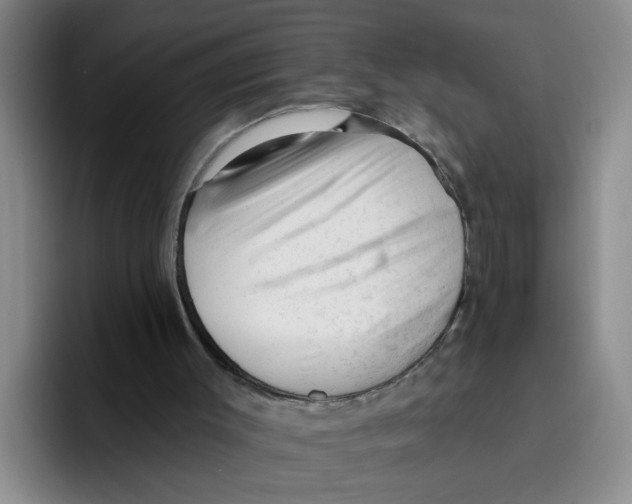 X0000096410003200802211235