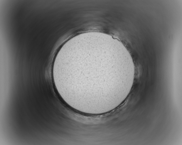 X0000096410004200802211235