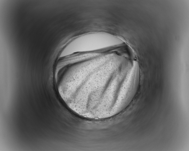 X0000096410005200802211235