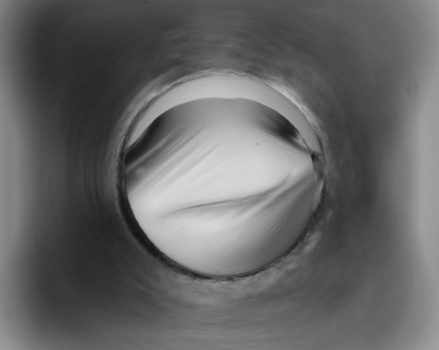 X0000096410007200802211235