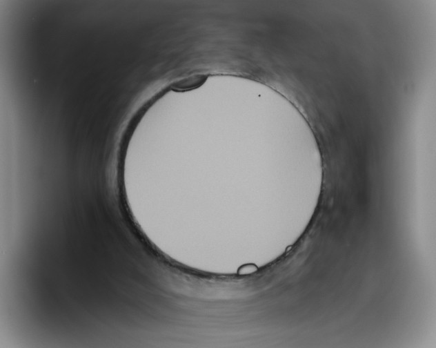 X0000096410008200802211235