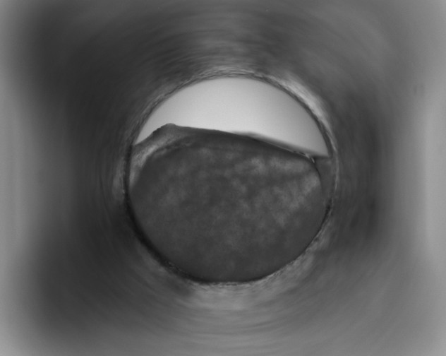 X0000096410009200802211235