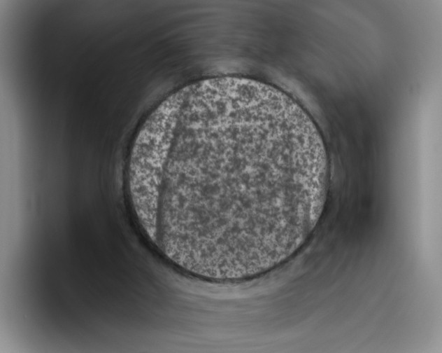 X0000096410010200802211235