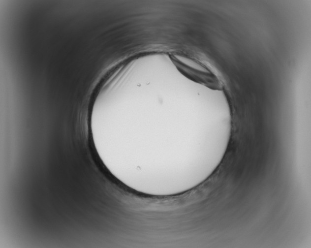X0000096410011200802211235