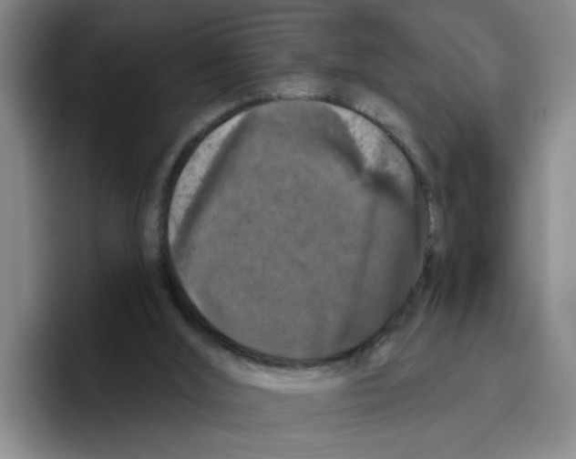 X0000096410012200802211235