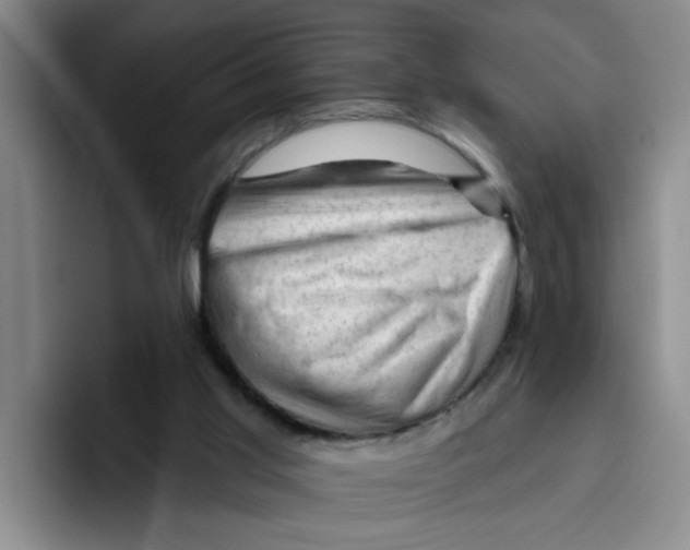 X0000096410013200802211235