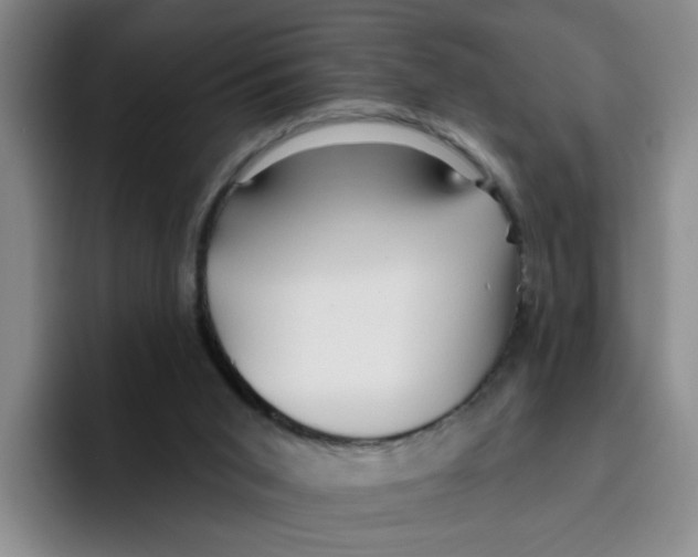 X0000096410015200802211235