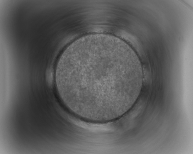 X0000096410016200802211235