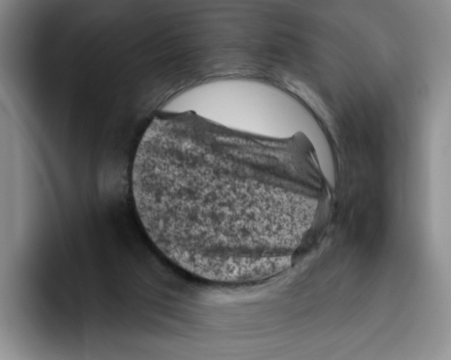 X0000096410017200802211235