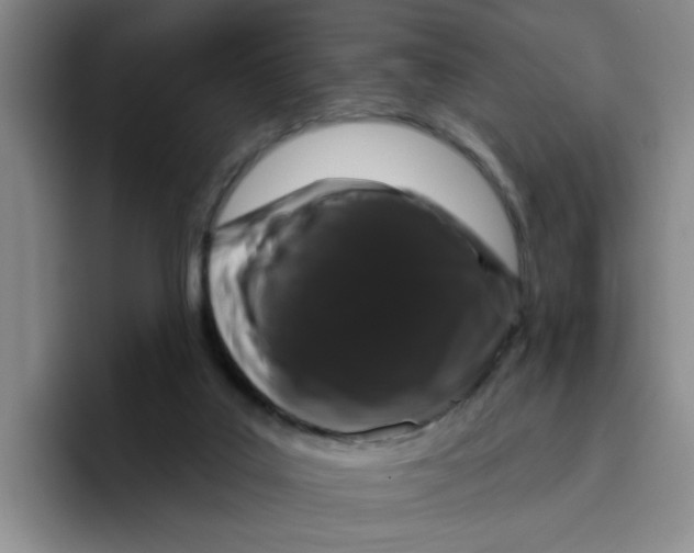 X0000096410019200802211235